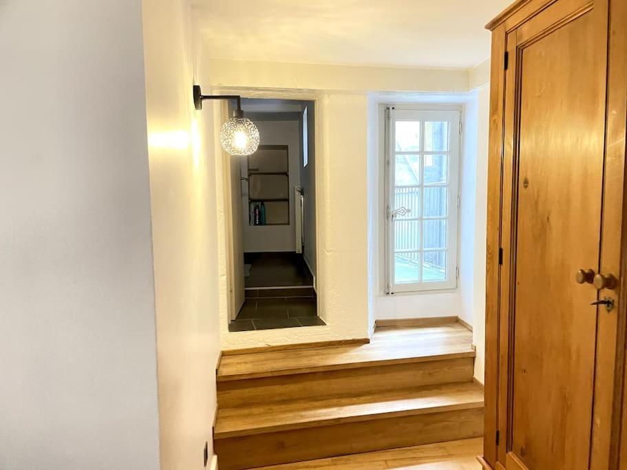 Ferienwohnung Duplex Avec Terrasse En Hypercentre De Grenoble Exterior foto
