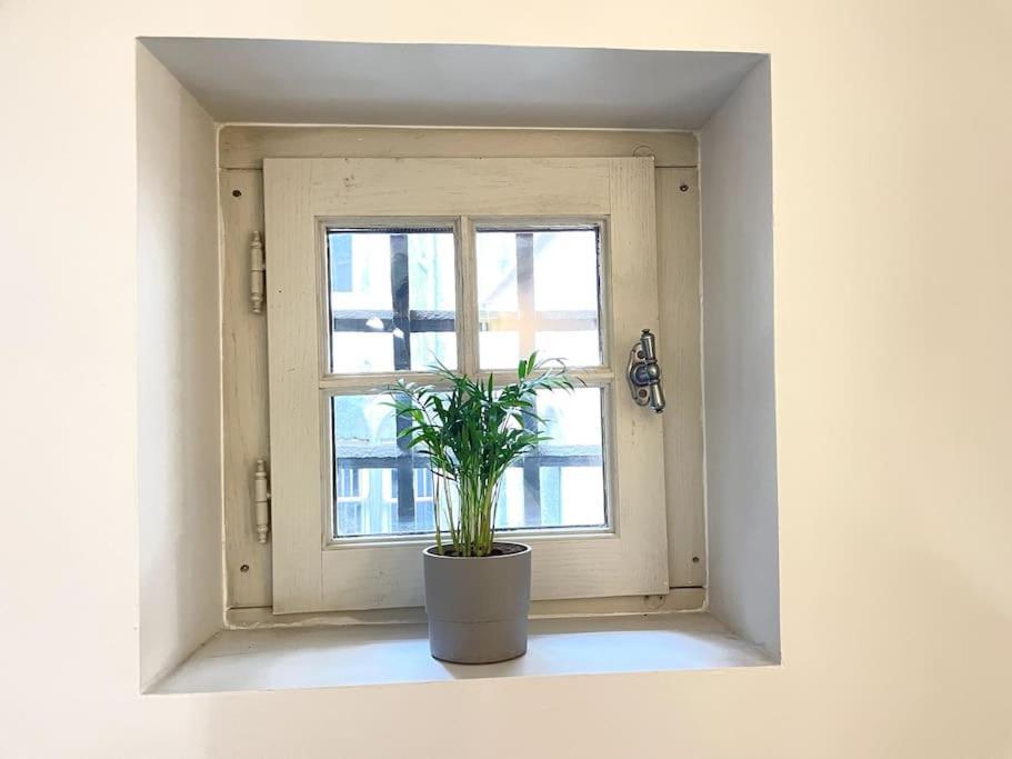Ferienwohnung Duplex Avec Terrasse En Hypercentre De Grenoble Exterior foto