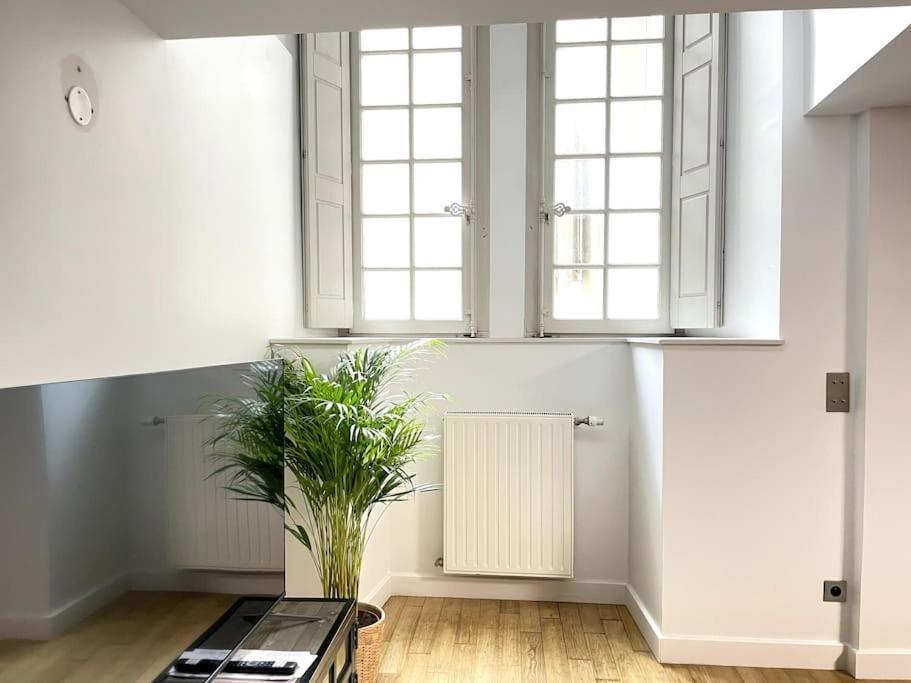 Ferienwohnung Duplex Avec Terrasse En Hypercentre De Grenoble Exterior foto